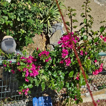 Holiday home Bodrumda Sirin Ev Bodrum