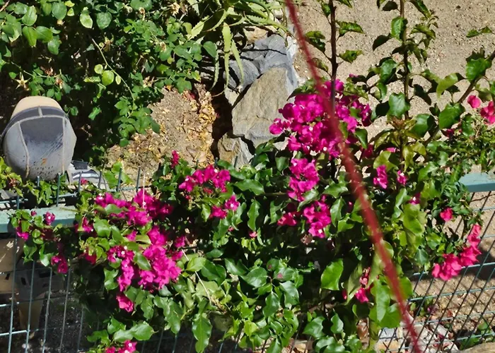 בית נופש Bodrumda Sirin Ev בודרום